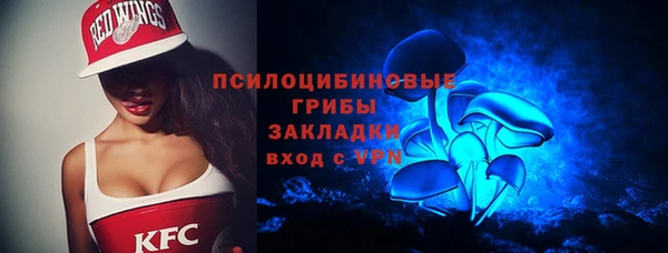 тгк Алзамай