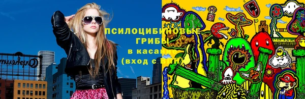 хмурый Алексеевка