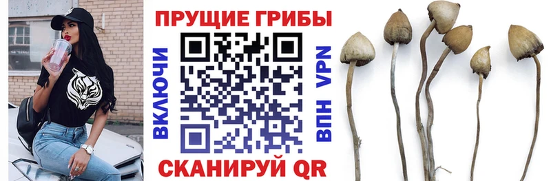Галлюциногенные грибы ЛСД  ОМГ ОМГ зеркало  Яровое 
